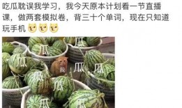 吃瓜网站大全,一网打尽娱乐圈最新动态