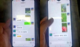 偶然发现吃瓜视频,揭秘吃瓜视频背后的趣味世界