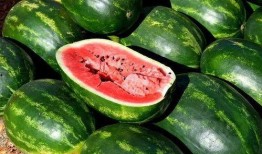 男童吃瓜照片高清图,高清捕捉男童欢乐吃瓜瞬间