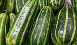 从吃瓜开始吃过哪些瓜,盘点我吃过的那些瓜