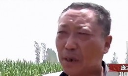 微山吃瓜风波事件,一场网络舆论的发酵与反思