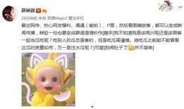 澄清吃瓜,揭秘网络舆论背后的真相与澄清