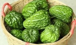 杜阮 吃凉瓜,夏日消暑，凉瓜美食之旅