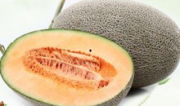 吃瓜网站大全,一网打尽娱乐圈最新动态