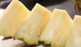 吃蜜瓜 新疆歌曲,品鉴吃蜜瓜歌曲的魅力