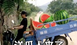 翻车吃瓜,吃瓜群众围观