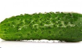 天天吃瓜能减肥吗,真能助你轻松减肥？揭秘瓜果减肥的真相