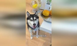 尊嘟 吃瓜,揭秘娱乐圈那些不为人知的幕后故事