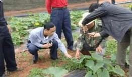 吃瓜的小孟,揭秘娱乐圈那些事儿