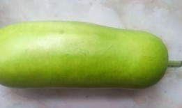 秋后吃哪些瓜最好,秋季吃瓜指南，这些瓜最适合秋季享用