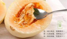 东方蜜瓜应该怎么吃,多汁甜蜜，尽享夏日清新美味