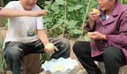 吃瓜母亲带着儿子