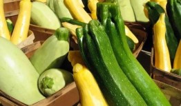 带你吃瓜科技,揭秘科技圈的热门话题与前沿动态