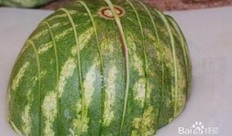 吃砍瓜去皮吗,砍瓜去不去皮？揭秘砍瓜食用前的正确处理方法