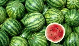 吃西瓜的瓜读音,尽享夏日清凉——吃西瓜的“瓜”韵时光