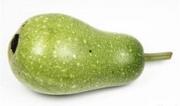 吃瓜道具用途,解锁夏日消暑新姿势