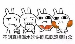 日常的吃瓜群众,吃瓜群众视角下的娱乐圈风云录