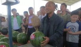 红桥吃瓜群众,揭秘社区生活百态