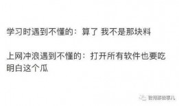 婚礼吃瓜小说知乎,吃瓜群众揭秘幕后真相