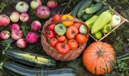 文安兴隆宫吃瓜,夏日吃瓜，清凉一夏的休闲胜地