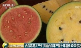 吃瓜群众吃到大瓜,吃瓜群众吃到大瓜，真相曝光！