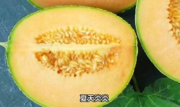 播放哈密瓜的吃法怎么吃,解锁夏日清新口感