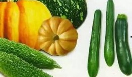 杨枝吃瓜,探寻夏日消暑美食的奥秘