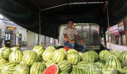 好青年送瓜吃,好青年传递正能量