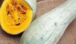 洋瓜尖吃不起,揭秘昂贵美食背后的消费之谜