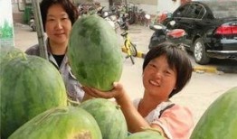 蓝灯吃瓜短剧,短剧中的爆笑日常