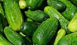 倚楼吃瓜,笑谈人间百态——吃瓜群众的趣味生活