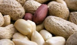 吃瓜花生老放屁,老放屁背后的趣味生活揭秘