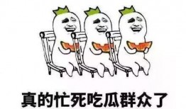 吃瓜的自我修养,解锁吃瓜自我修养之道