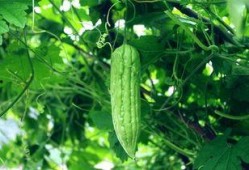 每日最新吃瓜,揭秘娱乐圈最新热点事件