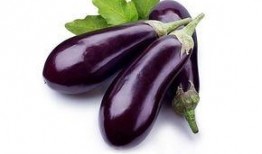 茄子吃瓜事件,一场意外的美食奇遇