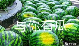 大学的吃瓜,大学校园里的“吃瓜”风云录