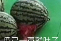 吃吐的瓜,那些吃吐的瓜背后的真相