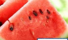 吃瓜胖吗胖,吃瓜也能变胖？揭秘日常饮食中的增肥陷阱