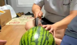 人类吃瓜现场,人类吃瓜狂欢，欢乐无限