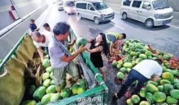 路边捡瓜吃全是爱,尽是人间烟火味