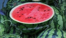 淘子吃瓜记,揭秘网络八卦背后的真实故事