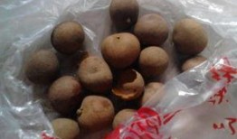 禾野玫瑰吃瓜,揭秘娱乐圈的“吃瓜”风云