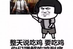 瓜兮兮吃鸡,趣味横生的绝地求生之旅