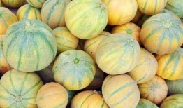 老汉瓜贫血可以吃吗