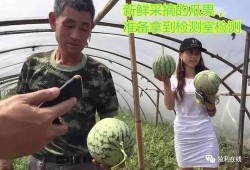 吃瓜直播不违法吗,揭秘网络时代的法律边界