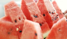 吃瓜就吐籽,品味生活点滴