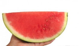 旅游吃瓜事件,一场意外引发的全民热议