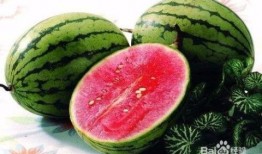 夏季吃瓜多好吗