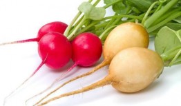 红萝卜能和茄瓜一起吃不