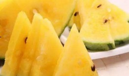 吃瓜状态图,吃瓜群众视角下的娱乐圈风云录